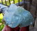 171 Gram Top Grade Terminated And Undamaged Natural - 2