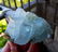 171 Gram Top Grade Terminated And Undamaged Natural - 3