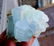 171 Gram Top Grade Terminated And Undamaged Natural - 9
