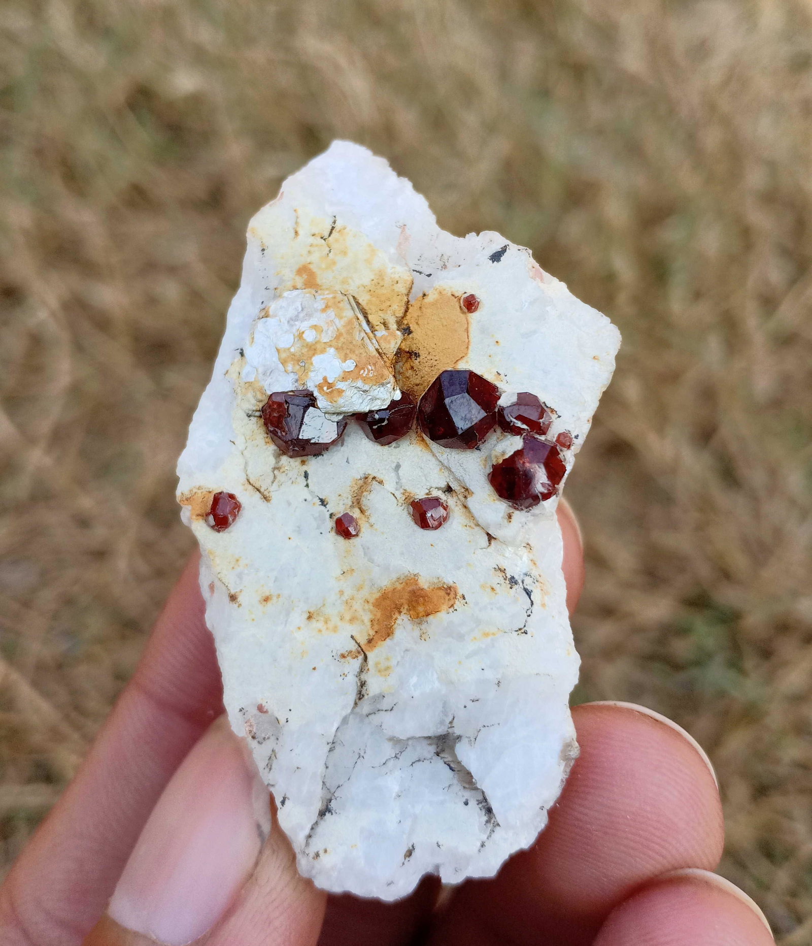 22 Gram Beautiful Natural Garnet Specimen: Title: 22 Gram Beautiful Natural Garnet Specimen Treatment: Natural Gemstone: Garnet Weight: 22 Gram Size/Dimensions: 50x30x18 mm Origin: Pakistan Reserve: $10.00 Shipping: Domestic: Flat-rate of $15.