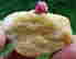 item-80587544=3