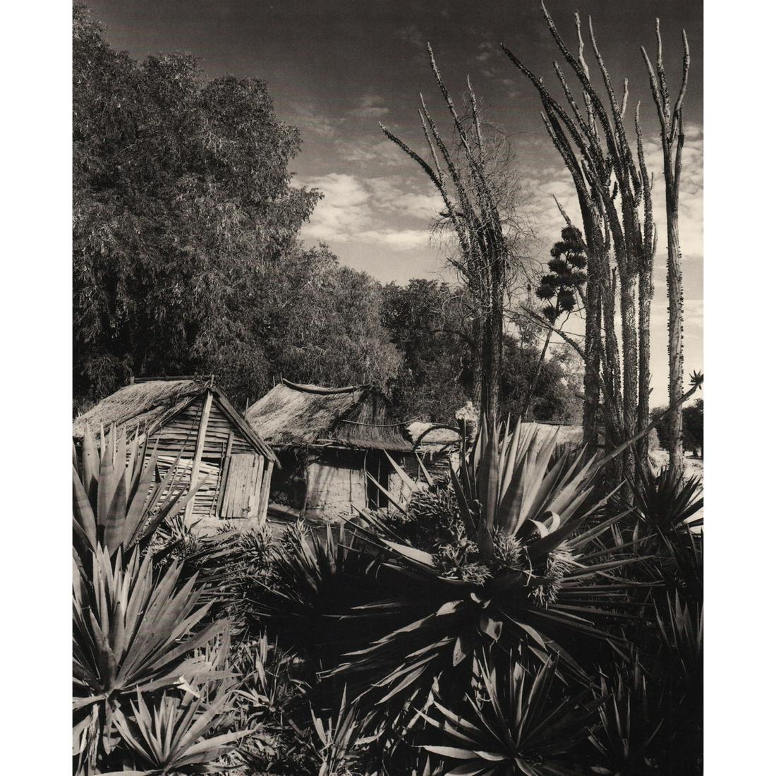 GIAN PAOLO BARBIERI - Mahafaly Village, Madagascar (1 of 1)