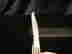 item-80619523=5