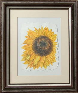 Jane Wilson: Sunflower: Artist: Jane WilsonTitle: SunflowerMedium: WatercolorDimensions: Frame: 24 x 20 in. 2003, Signed and dated Reserve: $230.00 Shipping:Domestic: Flat-rate of $75.00 to anywhere within the contiguous