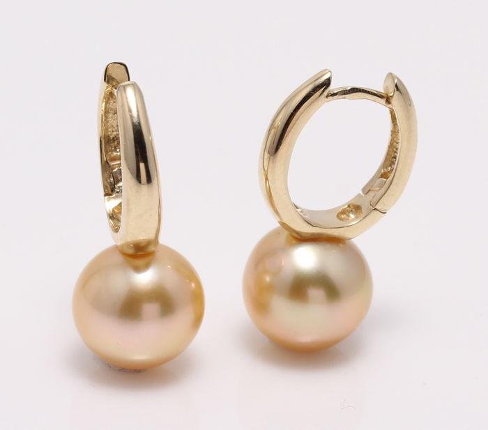 14 kt. Yellow Gold- 10x11mm Golden South Sea Pearls -: These elegant pearl drop earrings feature high quality Golden South Sea pearls. Produced by the gold-lipped Pinctada Maxima Oyster in the warm waters of Indonesia, these pearls were hand selected for 