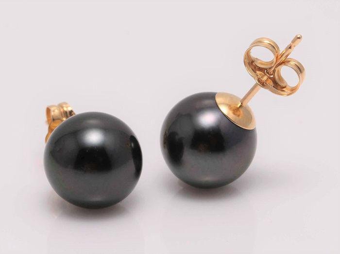 9x10mm Black Tahitian Pearls - Earrings: Grown in oysters in the warm saltwater of French Polynesia, Tahitian pearls will add a note of elegance to evening wear. These cultured pearl earrings feature a pair of round Tahitian pearls, which ha