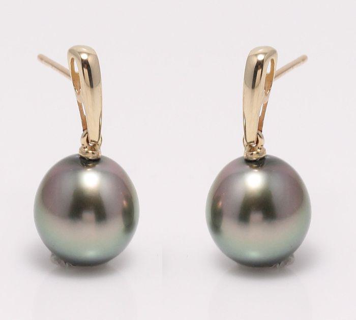 14 kt. Yellow Gold - 10x11mm Peacock Tahitian Pearl: Emerging from the tropical lagoons of French Polynesia, these Tahitian pearls have been hand selected for their natural beautiful peacock green body colour with shimmering purple overtones. They look 