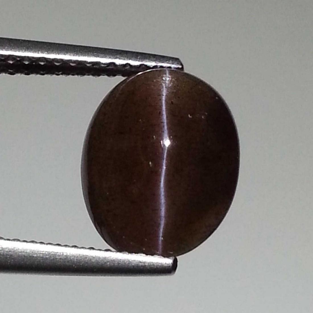 3.76 ct Natural Scapolite Cat's Eye (1 of 6)