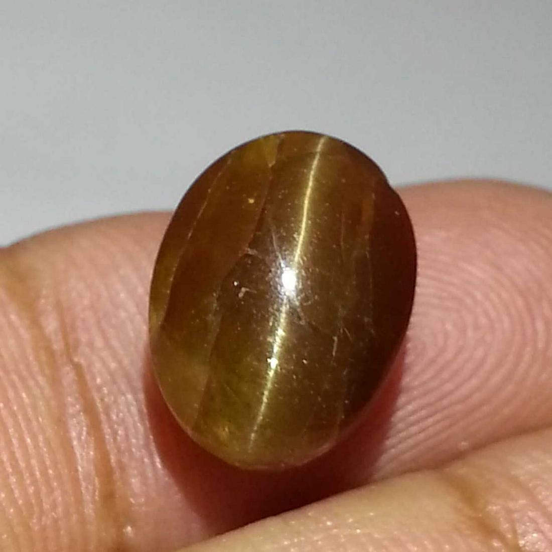 7.58 ct Natural Apatite cat's Eye: No Reserve! Title: 7.58 ct Natural Apatite cat's Eye Color/Clarity: Semi Transparent Gemstones: Loosegemstone Carat Weights: $8 Size/Dimensions: 13.00 x 9.50 x 7.10 Additional Information: Oval - Afri