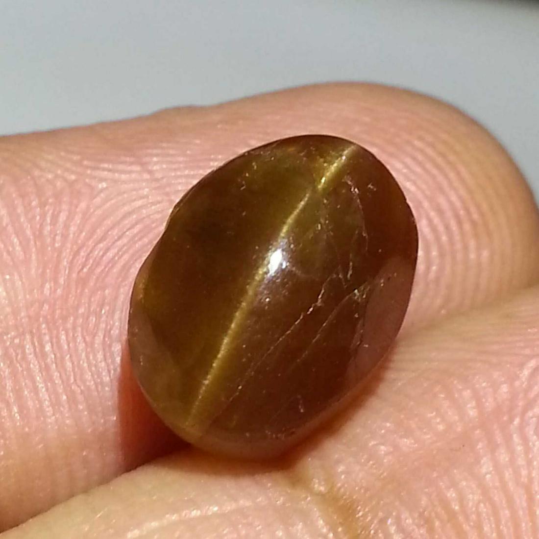 6.65 ct Natural Apatite cat's Eye: No Reserve! Title: 6.65 ct Natural Apatite cat's Eye Color/Clarity: Semi Transparent Gemstones: Loosegemstone Carat Weights: $7 Size/Dimensions: 11.80 x 8.80 x 7.00 Additional Information: Oval - Afri