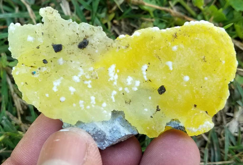 35 Grams Beautiful Brucite Specimen: No Reserve! Title: 35 Grams Beautiful Brucite Specimen Origin: Pakistan Weight: 35 Grams Size/Dimensions: 70x35x15 MM Additional Information: Natural Shipping: Domestic: Flat-rate of $15.00 to anywher