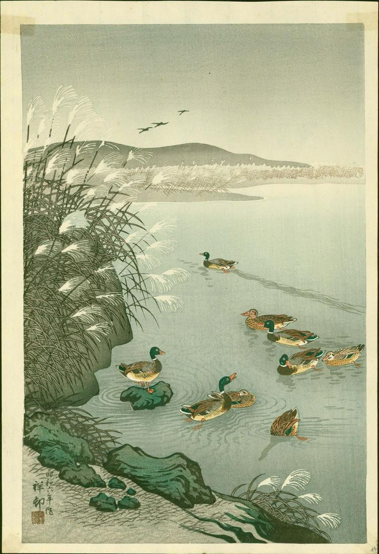 Ohara Koson (Shoson): Mallards in a Coastal Scene: Artist: Ohara Shoson Publisher: Watanabe Title: Mallards in a Coastal Scene Date: 1931 Shoson signature and seal. Size: Oban. Approximately 15.25 x 10.25 inches. Reference: No. S7.2 in Crows, Cranes a