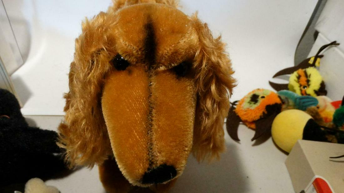 1951 STEIFF LARGE WALDI DACHSHUND DOG 45CM 17 INCHES: 1951 STEIFF LARGE WALDI DACHSHUND DOG 45CM 17 INCHES 1328.00 YELLOW TAG & BUTTON 1951 STEIFF LARGE WALDI DACHSHUND DOG 45CM 17 INCHES 1328.00 YELLOW TAG & BUTTON Click images to enlarge Description ST