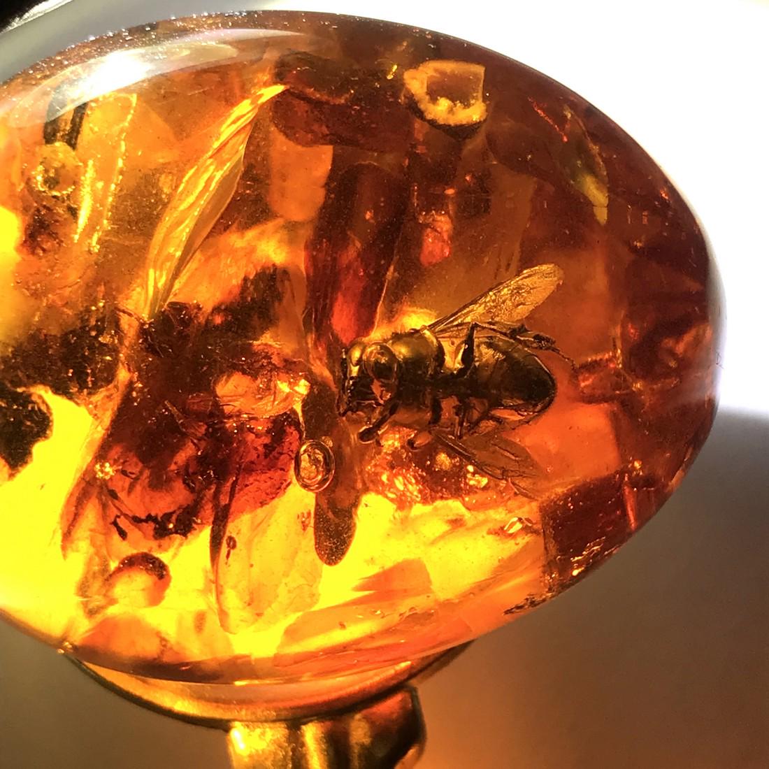 Grand Vintage Amber Egg with inclusions on a pedestal (1 of 10)