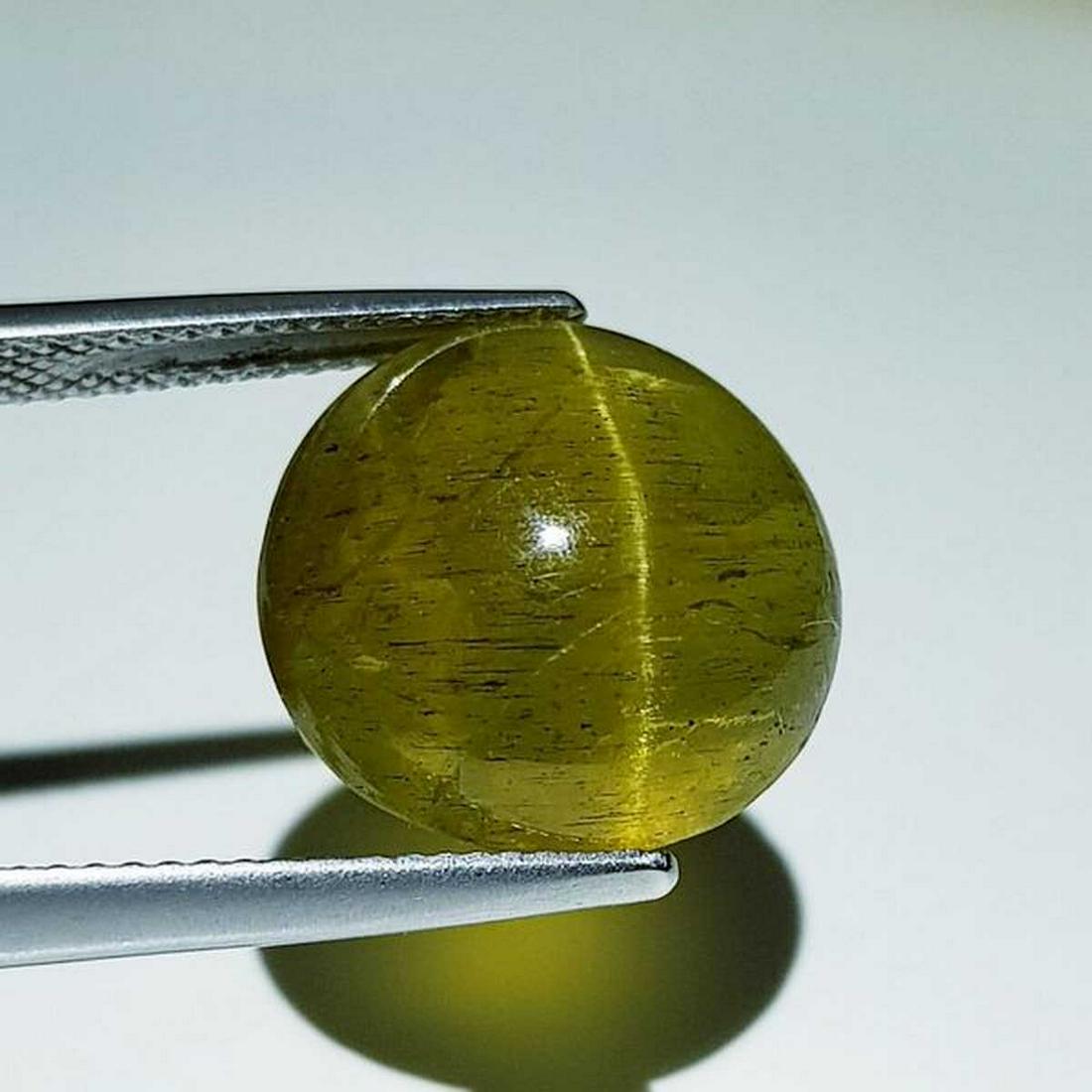 15.70 ct Natural Apatite cat's Eye: No Reserve! Title: 15.70 ct Natural Apatite cat's Eye Color/Clarity: Semi Transparent Gemstones: Loosegemstone Carat Weights: 15.7 Size/Dimensions: 14.50 x 14.50 x 9.20 Additional Information: Oval - 