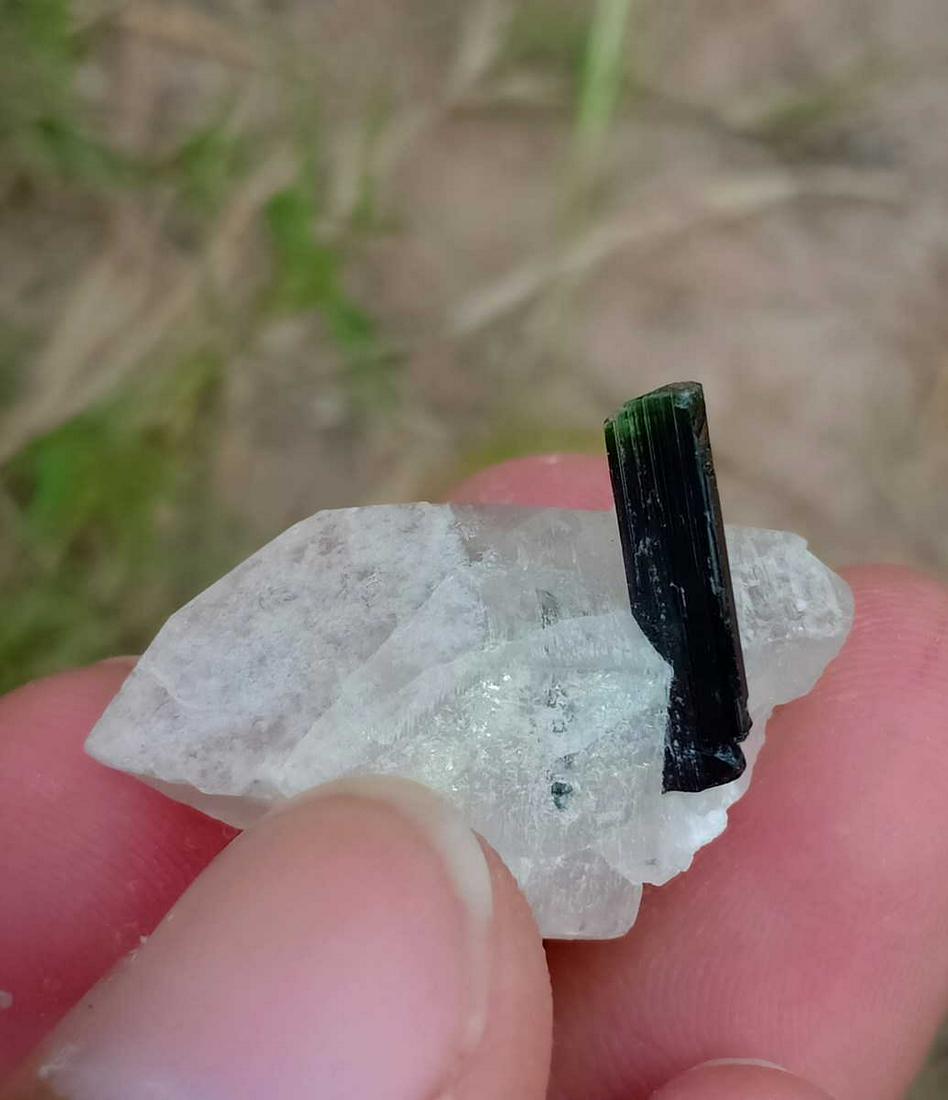 8 Gram Beautiful Natural Green Cap Tourmaline With: No Reserve! Title: 8 Gram Beautiful Natural Green Cap Tourmaline With Quartz Specimen Treatment: Natural Gemstone: Tourmaline Weight: 8 Gram Size/Dimensions: 30x15x14 mm Origin: Pakistan Shipping: Dom