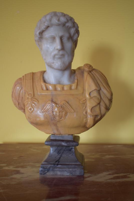 Marble bust emperor Hadrian: Title: Marble bust emperor Hadrian Date: 19th century Materials: Ancient yellow and white marble Size: inches 10x7 inches Ancient bust in two-tone, antique yellow and white Carrara marble, and marble 