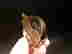 item-81302537=2