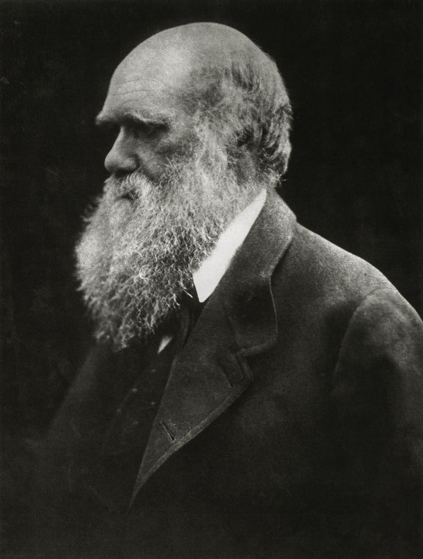 JULIA MARGARET CAMERON - Charles Darwin, 1868 (1 of 1)