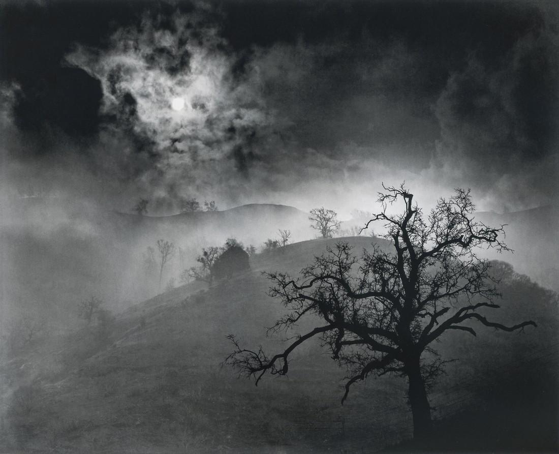WYNN BULLOCK - Stark Tree, 1956: Artist: Wynn Bullock Title: Stark Tree, 1956 Medium: Photo Litho, 2014, China Dimensions: 9.5x7.65" Heat Wax Mounted on 11x14" Conservation Board Wynn Bullock (1902-1975) was an American photographer 