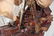 Queen Anne Revenge - 17