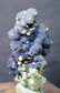 Grape Agate Chalcedony Specimen , Botryoidal Chalcedony - 6