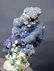 Grape Agate Chalcedony Specimen , Botryoidal Chalcedony - 7