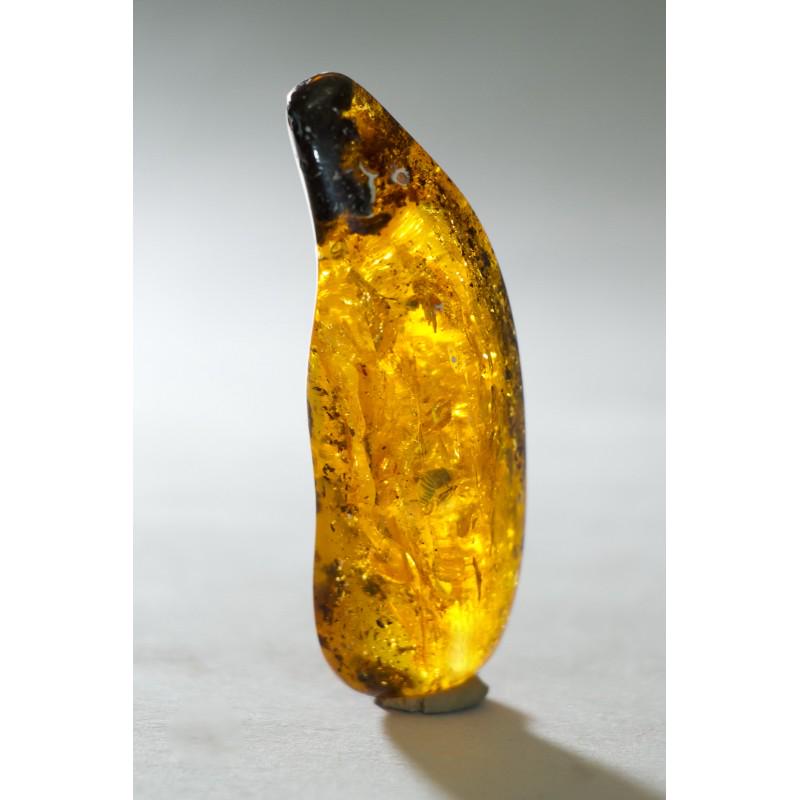 18 g. natural Baltic amber stone with insect, inclusion: Weight: 18 gram Inclusion: rare beetle (bug) Size: 19x23x69 mm Stone: 100% natural Baltic amber Treatment: no Tested 100% natural Baltic amber: floats in salt water and smells as pine tree if you warm