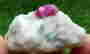 item-81341004=1