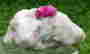 item-81341004=3