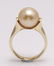 14 kt. Yellow Gold - 10x11mm Golden South Sea Pearl - - 6