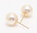 18 kt. Yellow Gold - 8.5x9mm Akoya Pearls - Earrings