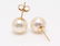 18 kt. Yellow Gold - 8.5x9mm Akoya Pearls - Earrings - 2