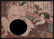 Katsukawa Shuncho: Shunga (erotic).