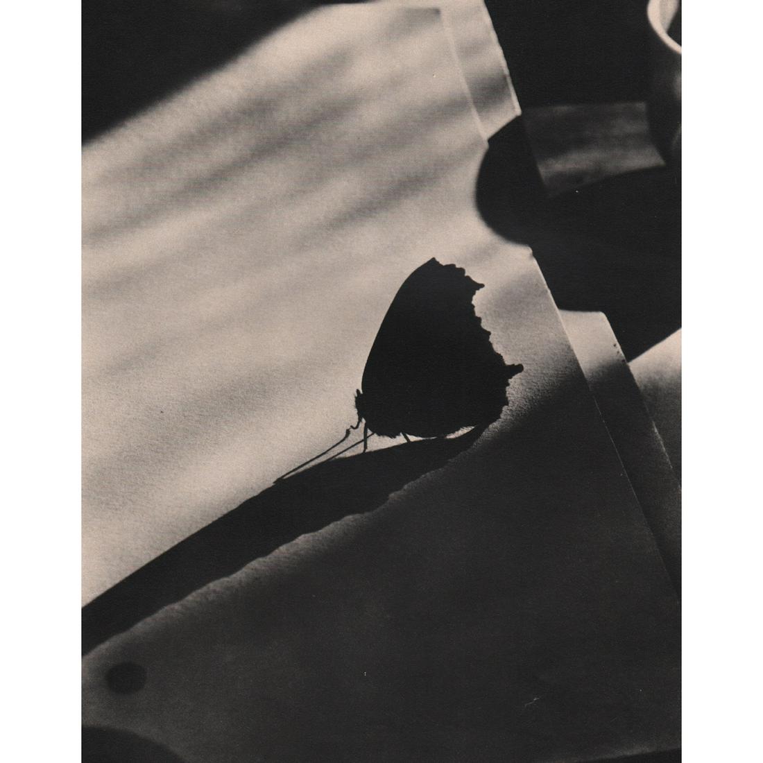 EDWARD STEICHEN - Diagram of Doom: Artist: EDWARD STEICHEN Print Title: Diagram of Doom - 2. New York, c. 1922 Medium: Sheet-fed Gravure Printing Date: 1960's Printed in Switzerland Image Size approx: 8.5 x 6.75 inches Edward Jean Stei