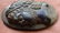 Cameo, in Lapis Lazuli, Nero, Grand Tour XVIII century. - 4