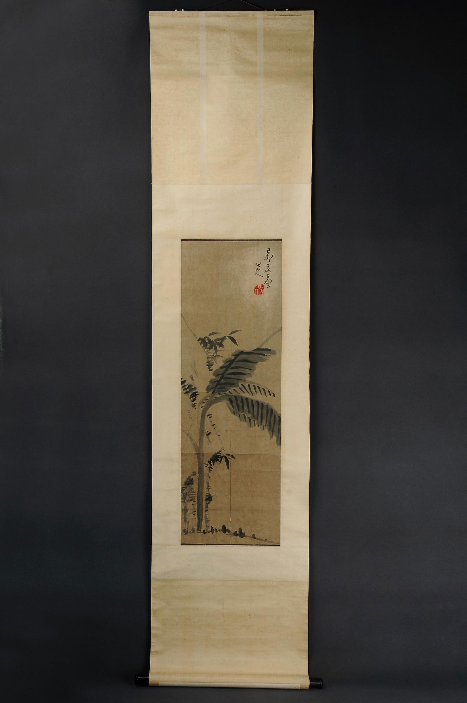 Chinese Qing Dynasty Painting-Paper-Ancient Tree (1 of 9)