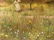 Oil painting Spring gardens Anatoly Borisovich - 10