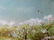 Oil painting Spring gardens Anatoly Borisovich - 2