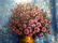 Oil painting Still life Zosenko Kupriyan - 3