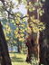 Oil painting Oak trees - 7