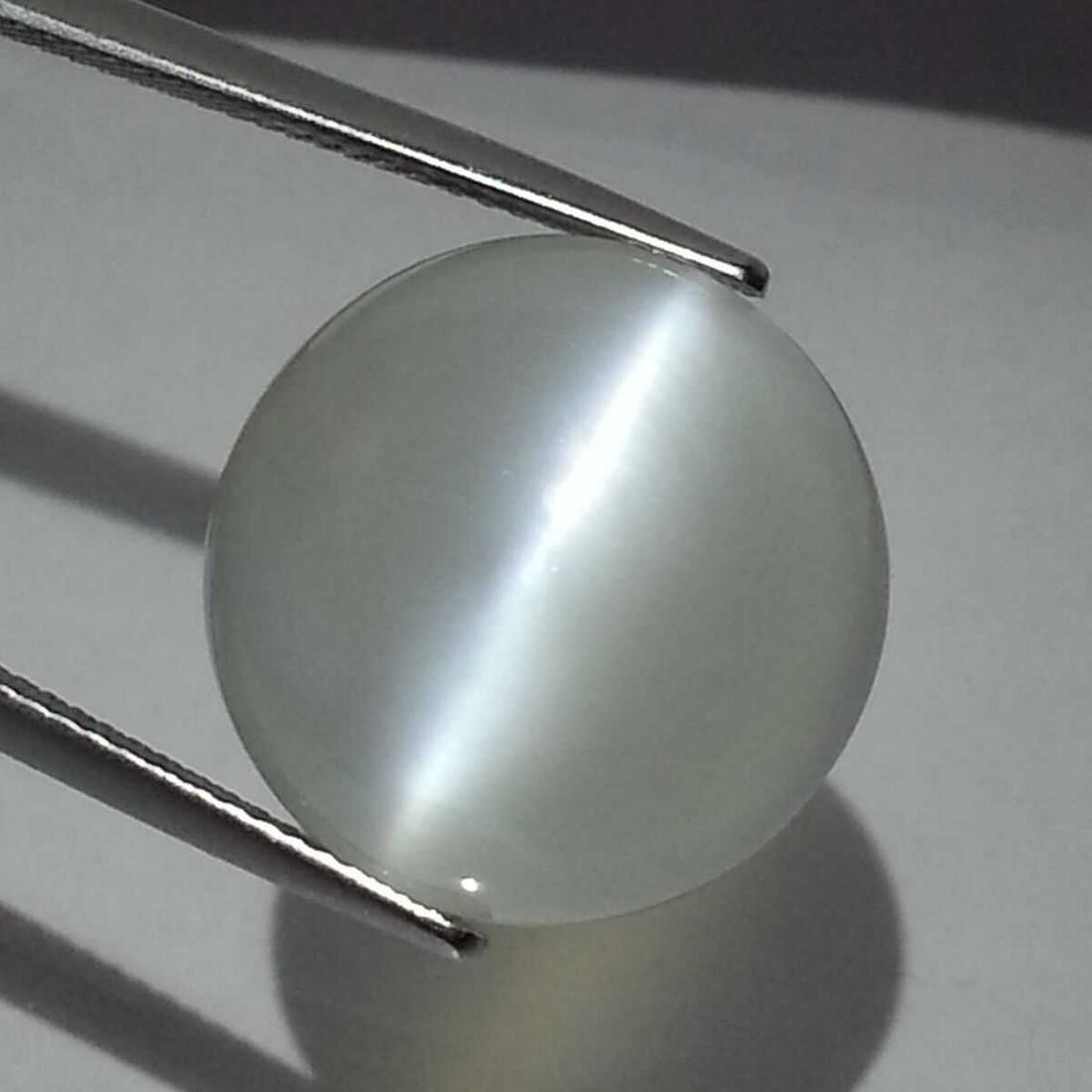 19.47 ct Natural Moonstone Cat's Eye (1 of 6)