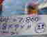 item-81647690=2