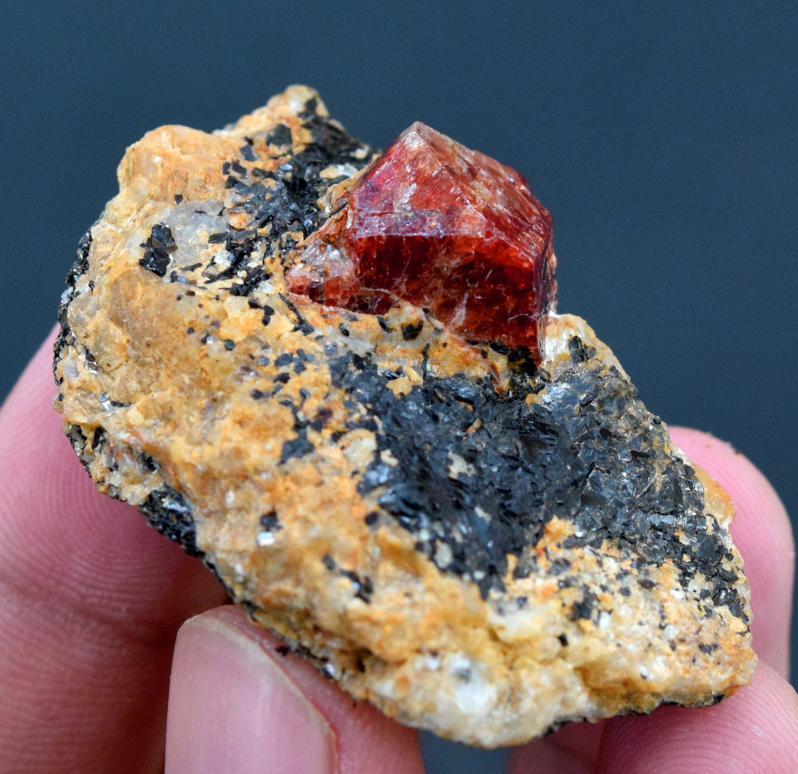 31 Gram Rare Terminated & Undamaged Blood Red Color: Item details Handmade Material zircon more 31 Gram Rare Terminated & Undamaged Blood Red Color Zircon Crystal On Matrix - Weight : 31 Gram Dimen