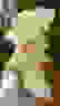 item-81647768=6