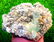 Aquamarine Specimen , Terminated Damage Free Aquamarine - 8