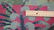 Circa 1960s ANTIQUE MINT ART DECO ROOM SIZE CHINESE RUG - 10