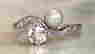 item-81713619=2
