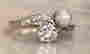 item-81713619=3