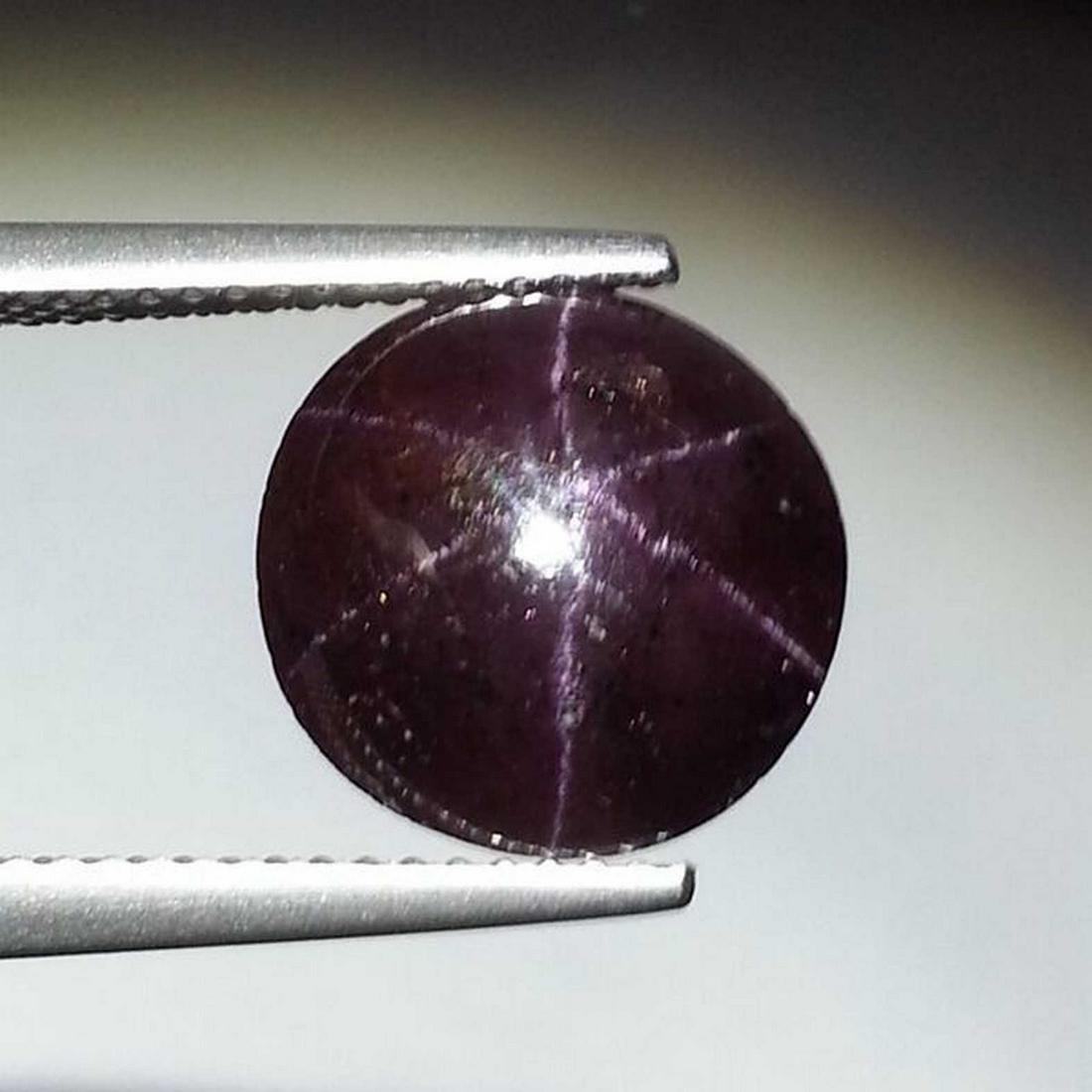 7.15 ct Top Quality Six Ray Star Garnet (1 of 6)